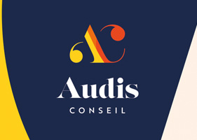 AUDIS CONSEIL